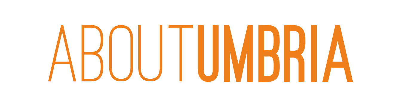 ABOUTUMBRIA---LOGO-ORANGE-OK